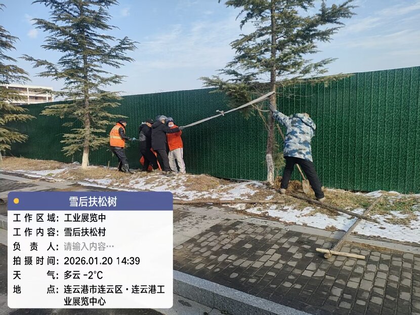 上网1