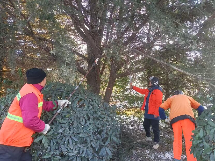 上网1