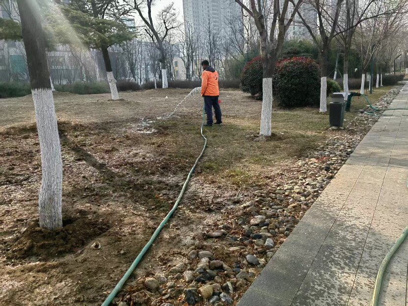 上网2