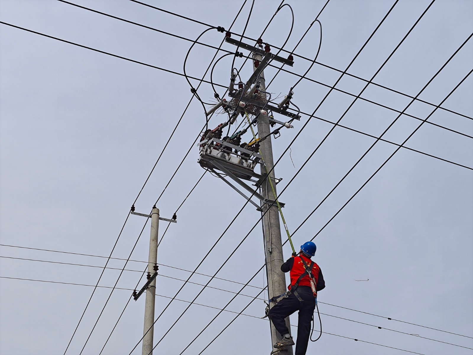 1711417392314076734.jpg 清除鸟窝专项行动1.jpg